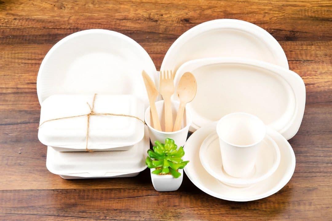 Sugarcane Bagasse Tableware